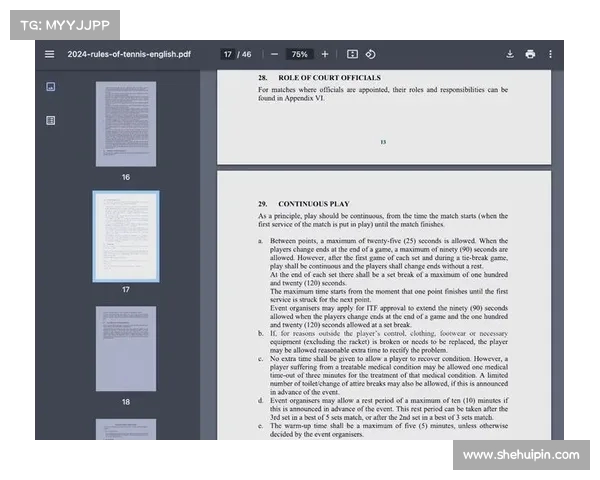 网球比赛裁判职责与挑战：从赛场执法到技术支持的全方位解析