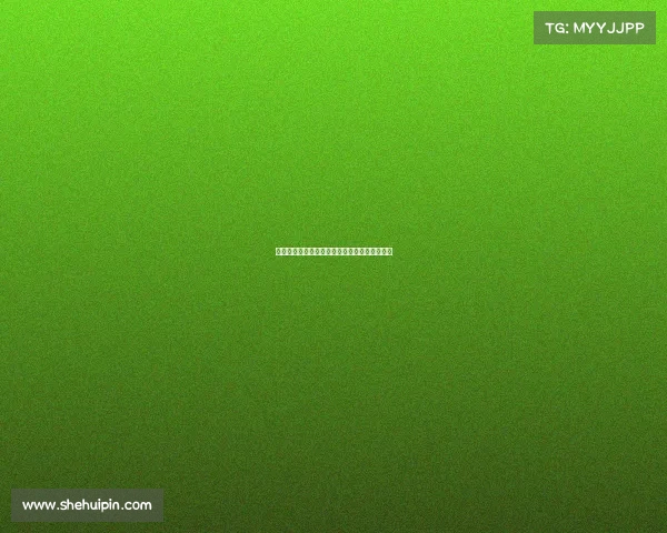 网球赛场背后的不为人知的故事与辛勤付出揭秘 网球赛场背后的不为人知的故事与辛勤付出揭秘