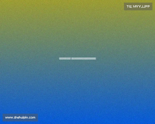 网球赛场背后的故事 揭秘顶级选手训练与赛事筹备的艰辛与荣耀