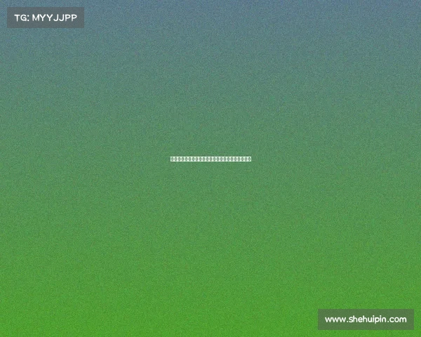 足球转会合同中的关键条款解析与背后影响因素探讨